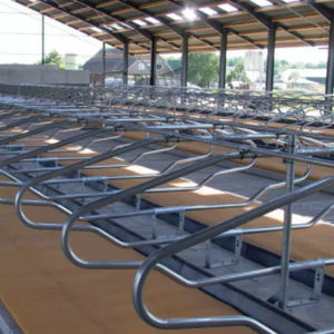 cow cubicle