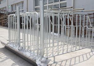 gestation stall