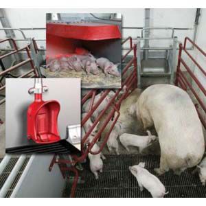 anti-crush protection farrowing stall