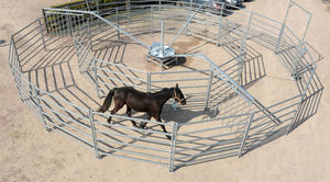 horse walker with fence 1