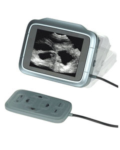 portable veterinary ultrasound system / for large animals