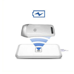 backfat depth sensor