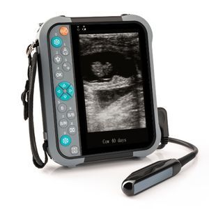 black and white ultrasound scanner