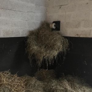 horse hay rack