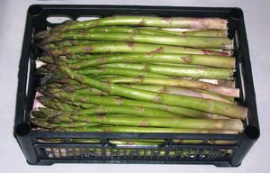 early asparagus seeds