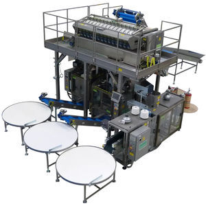 big bag weighing machine