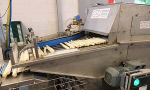 mechanical sorter