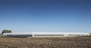 multi span greenhouse