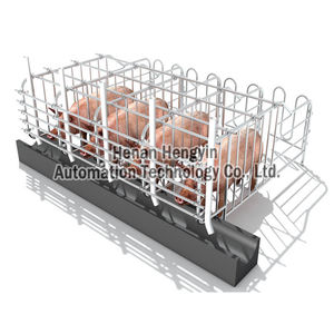 slatted floor gestation stall