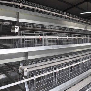 stainless steel frame layer rearing cage