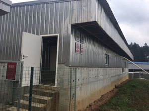 pig barn