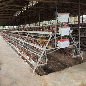 layer chicken cage / A / 3-stage / with egg collector