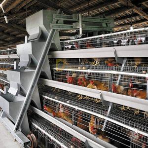 multi-tier layer rearing cage