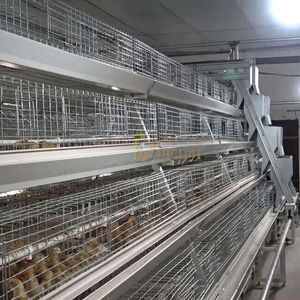 manual broiler rearing cage
