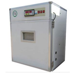 automatic turning egg incubator