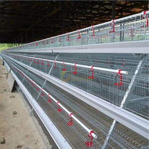 layer chicken cage / A / 3-stage / with egg collector