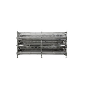 layer chicken cage / H / 3-stage / with manure belt