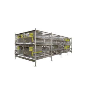 layer chicken cage / H / 2-stage / with manure belt