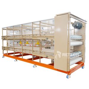 H broiler rearing cage