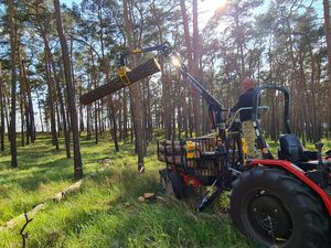 trailer-mounted forestry crane
