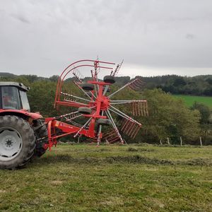 rotary rake