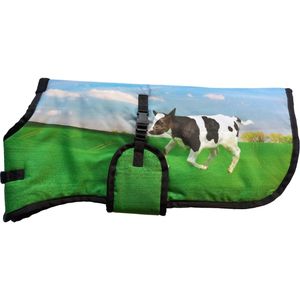 calf blanket