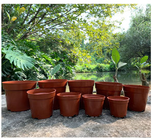 plastic pot