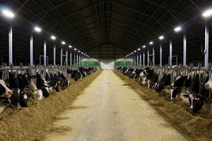 lighting system for livestock buildings