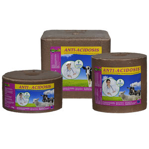 cattle salt lick 1
