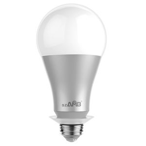 LED light bulb