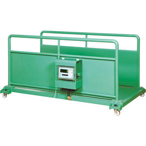 digital scale