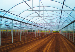 greenhouse film