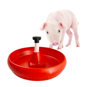 piglet feeder