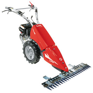 motor-mower 1
