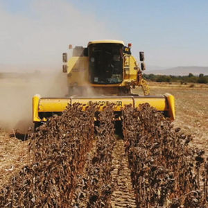 sunflower harvesting header