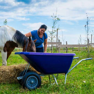 wheelbarrow