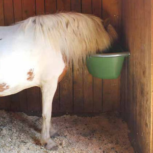 horse feeder