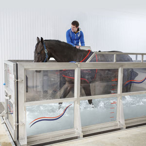 walk equine treadmill