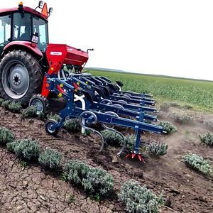 mounted row crop cultivator