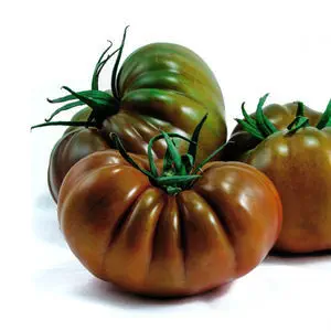 Desperado Tomato-Meraki Seeds