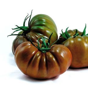red tomato seed 1