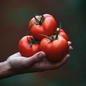 red tomato seed 1