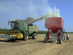 grain bagger