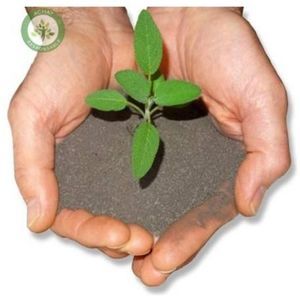 organic amendment