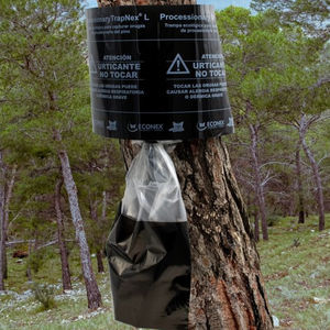 insect trap
