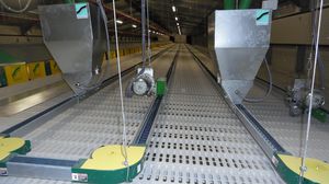 chain automatic feeding system