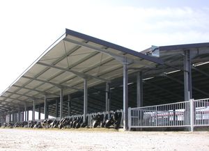 livestock barn