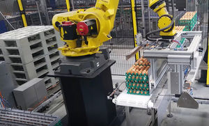 egg de-palletizer 1