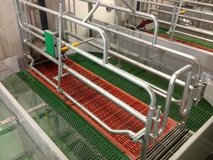 pig breeding floor panel 1