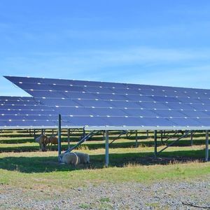 livestock agrivoltaic shade structure